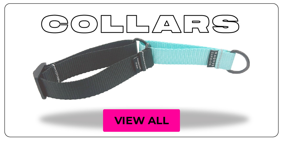This image of a harness with hot pink button is a link to the all collars collection page.