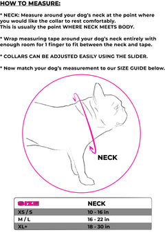 The FLEX Collar with Magnetic Buckle