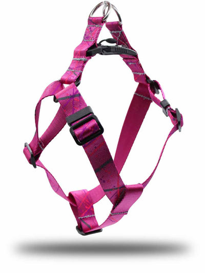 Berry colored french bulldog harness by MAGNUS Canis.