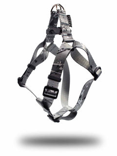 A MAGNUS Canis french bulldog puppy harness in silver color.