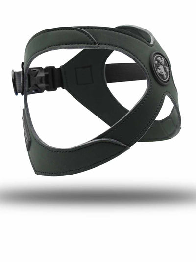 A dark moss green french bulldog harness floats above the floor against a white background.