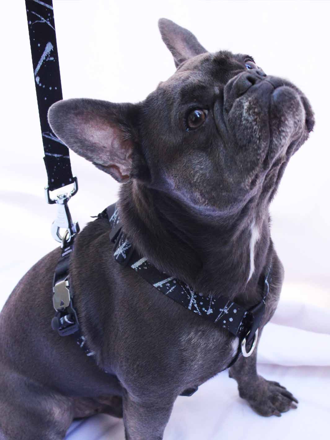 The WANDERLUXE Harness - 'SPATTER'