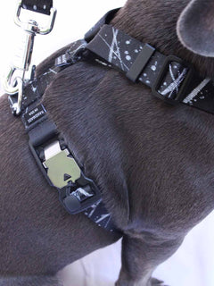 The WANDERLUXE Harness - 'SPATTER'