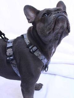 The WANDERLUXE Harness - 'SPATTER'