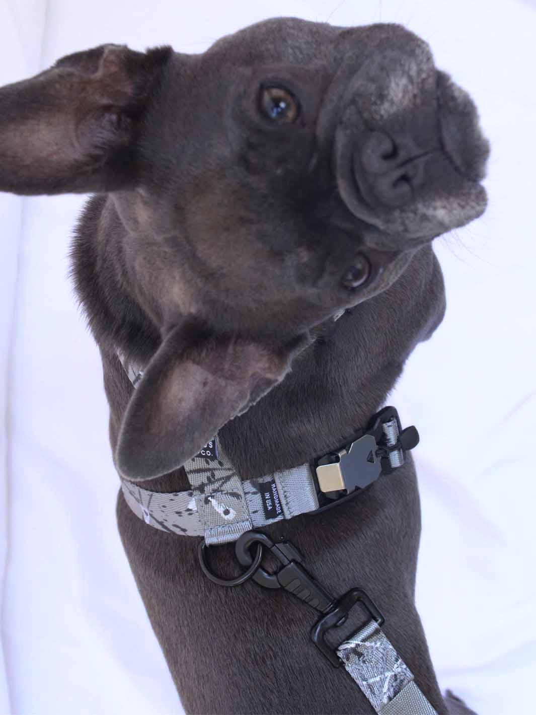 The WANDERLUXE Harness - 'SPATTER'