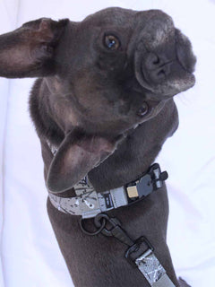 The WANDERLUXE Harness - 'SPATTER'