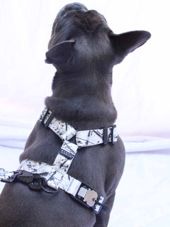 The WANDERLUXE Harness - 'SPATTER'