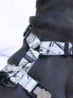 The WANDERLUXE Harness - 'SPATTER'