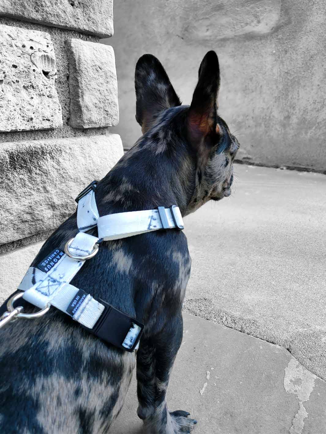 The WANDERLUXE Harness - 'SPATTER'