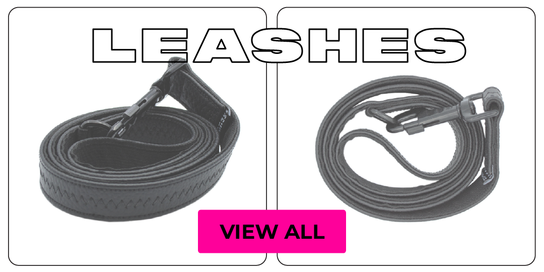 This image of a harness with hot pink button is a link to the all leashes collection page.