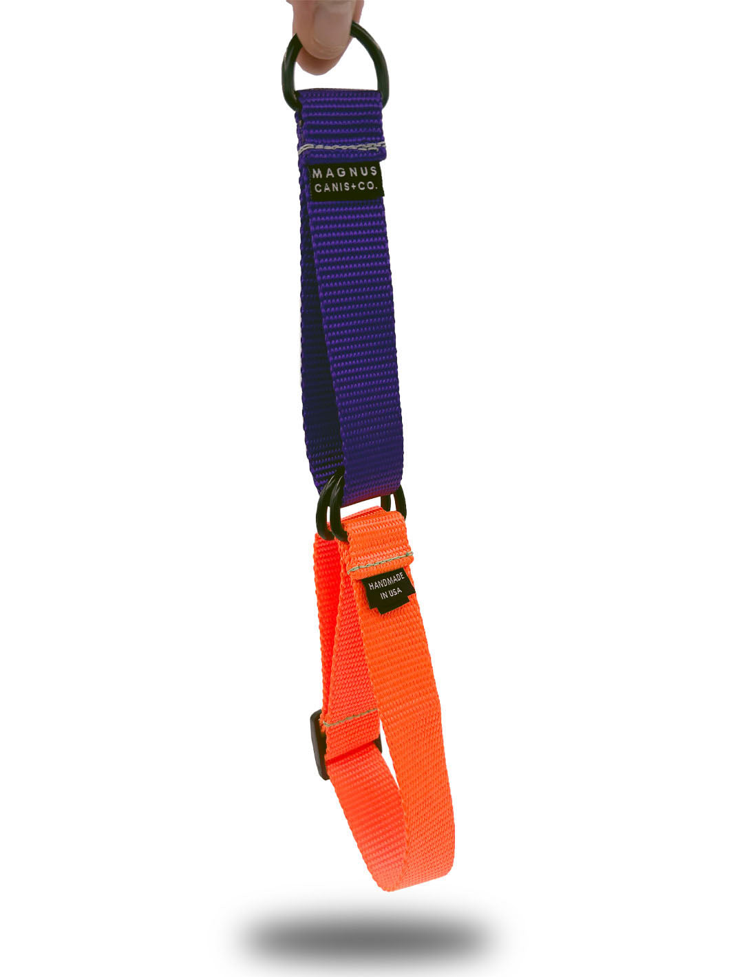 MAGNUS Canis martingale dog color made of nylon strap webbing in orange and purple colors.