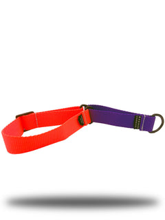 Orange and purple MAGNUS Canis martingale dog collar laying horizontally.