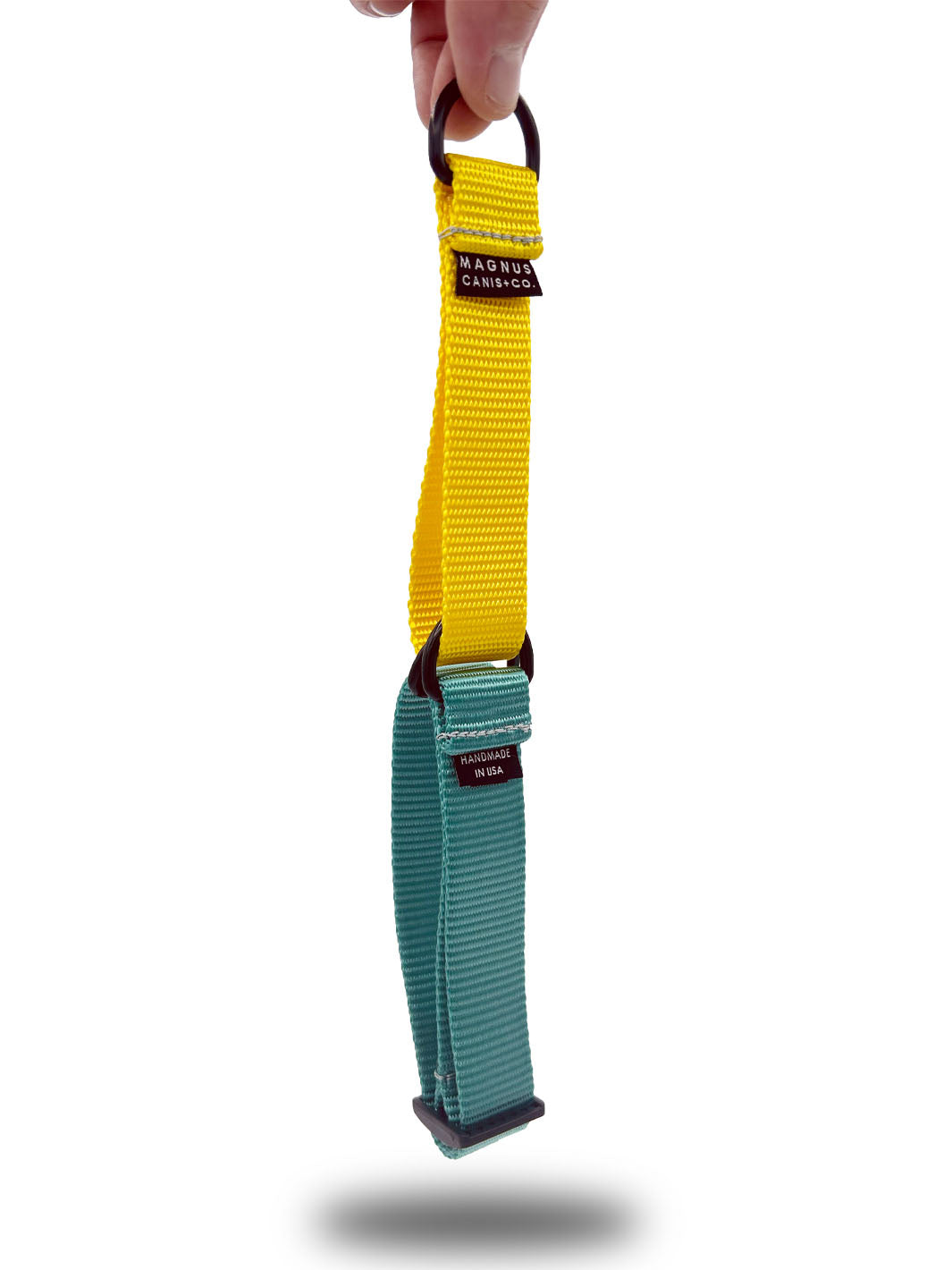 Light teal and yellow nylon martingale dog collar by MAGNUS Canis.
