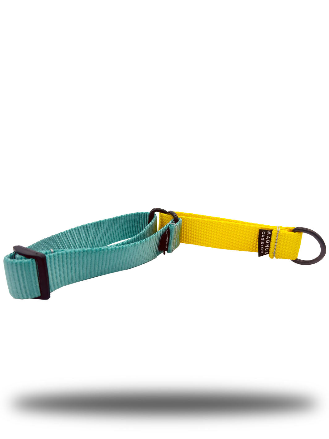 MAGNUS Canis martingale dog collar in light teal and yellow nylon webbing strap.