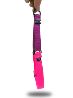 MAGNUS Canis martingale dog color made of nylon strap webbing in hot pink and purple colors.