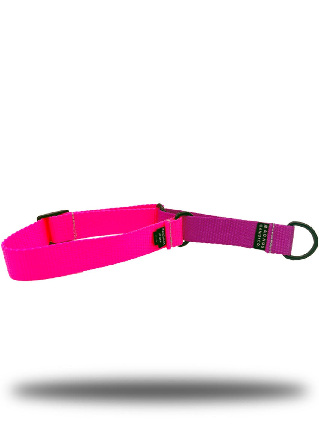 Neon pink and purple nylon webbing strap martingale dog collar by MAGNUS Canis.