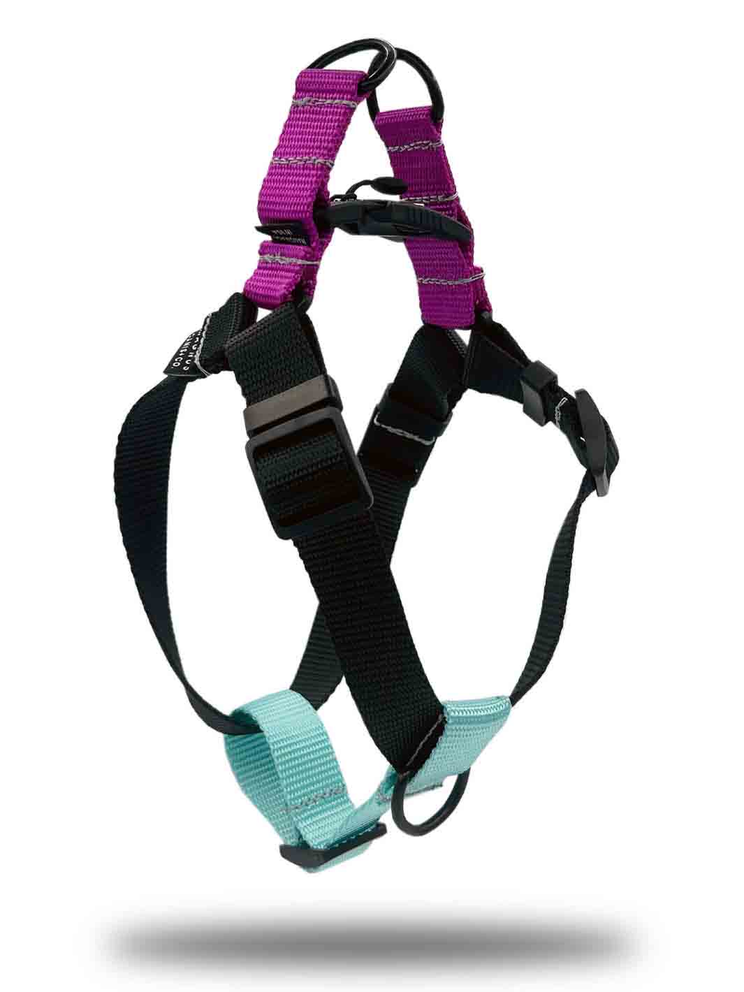 Nylon webbing strap dog harness with magnetic buckle by MAGNUS Canis.