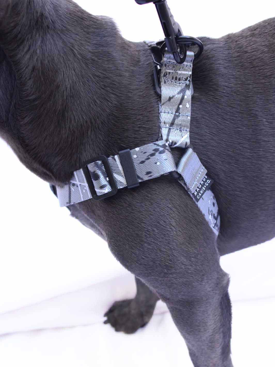 Hand painted strap harness with cute french bulldog in it.