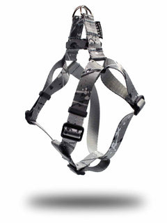 A MAGNUS Canis french bulldog puppy harness in silver color.