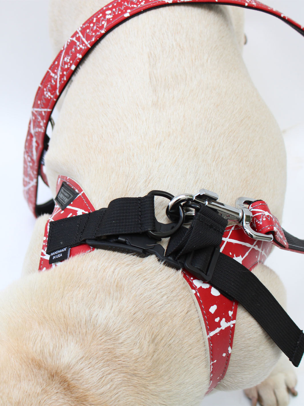 The magnetic buckle on the french bulldog harness by MAGNUS Canis.