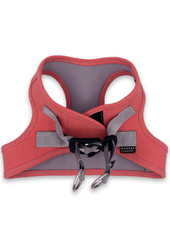 An orange denim limited edition dog harness laying on a white surface.