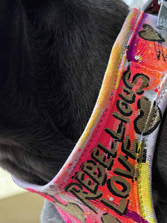The close up neck detail of a hand painted french bulldog harness.