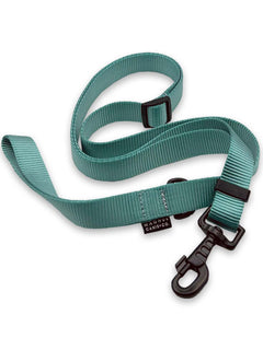 Pale teal nylon strap webbing dog leash bundled up.