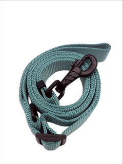 MAGNUS Canis pale teal dog leash in nylon strap coiled on surface.